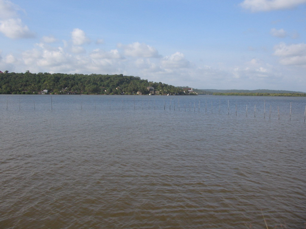 River, viewed from the bus from Colva to Old Goa