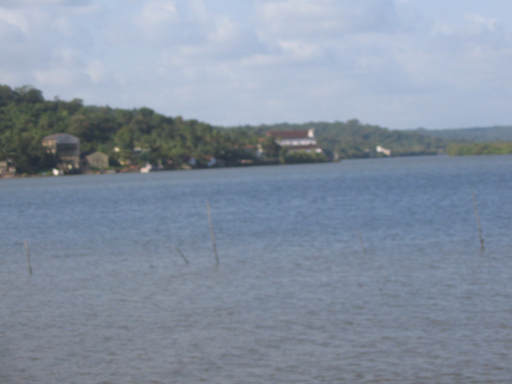 River, viewed from the bus from Colva to Old Goa