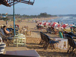 People and a cow at Baga Beach