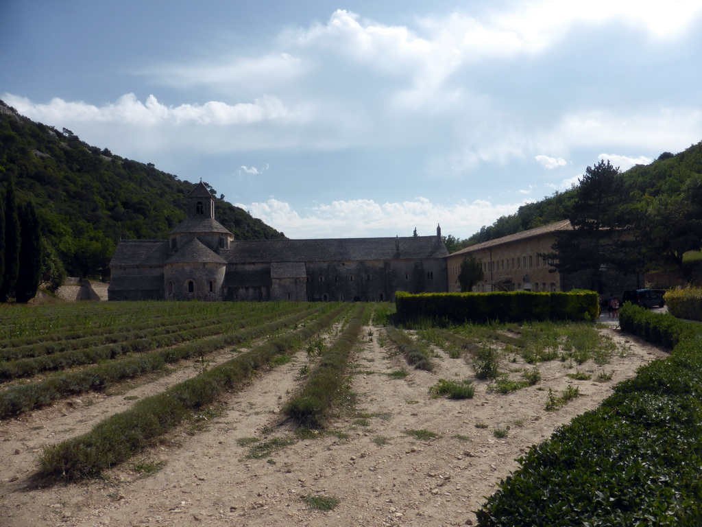 Lavender fields and the north side of the Abbaye Notre-Dame de Sénanque abbey
