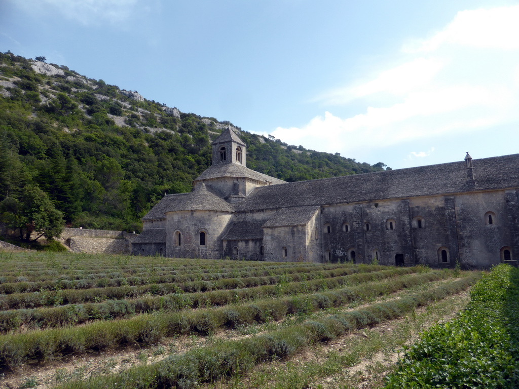 Lavender fields and the north side of the Abbaye Notre-Dame de Sénanque abbey