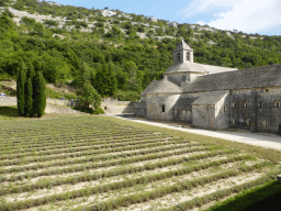 Lavender fields and north side of the Abbaye Notre-Dame de Sénanque abbey, viewed from the upper floor of the entrance building