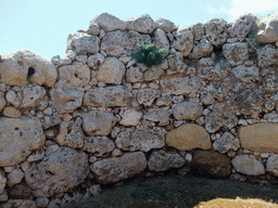 Niche in the north Ggantija neolithic temple