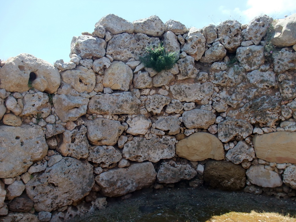 Niche in the north Ggantija neolithic temple