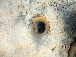 Hole in a wall of the north Ggantija neolithic temple