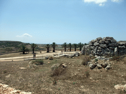 The right side of the north Ggantija neolithic temple, and surroundings