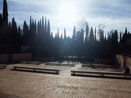 Amphitheatre at the Jardines Nuevos gardens at the Palacio de Generalife