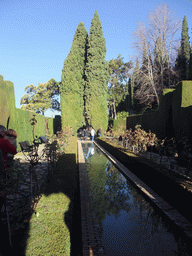 Pond and trees at the Jardines Nuevos gardens at the Palacio de Generalife