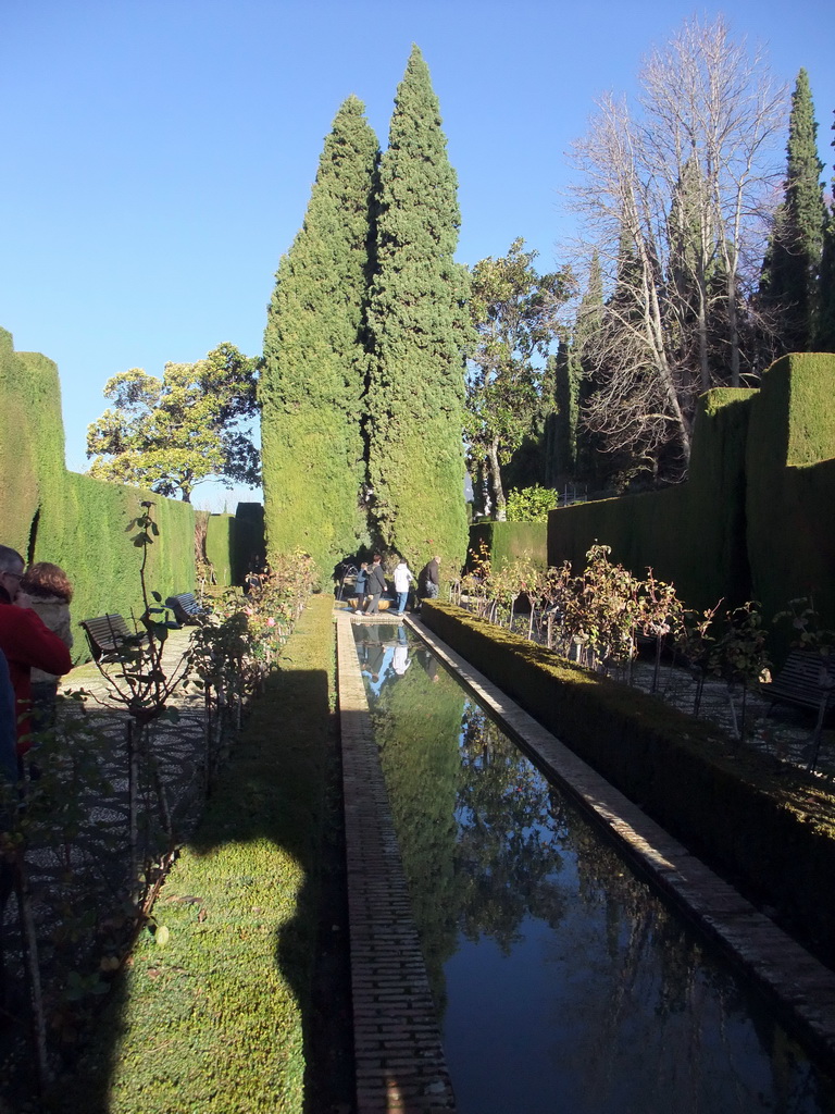 Pond and trees at the Jardines Nuevos gardens at the Palacio de Generalife
