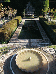 Ponds, fountains and trees at the Jardines Nuevos gardens at the Palacio de Generalife