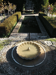 Ponds, fountains and trees at the Jardines Nuevos gardens at the Palacio de Generalife