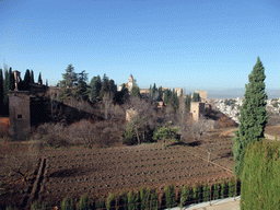 The Alhambra palace, viewed from the Jardines Nuevos gardens at the Palacio de Generalife