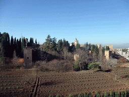 The Alhambra palace, viewed from the Jardines Nuevos gardens at the Palacio de Generalife