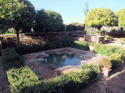 Pond, fountains and trees at the Jardines Nuevos gardens at the Palacio de Generalife