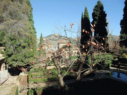 The Torre de las Damas tower and the Jardines del Partal gardens at the Alhambra palace