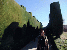 Miaomiao and trees at the old city at the Alhambra palace