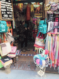 Miaomiao in a souvenir shop in the Calle de Marqués de Gerona street