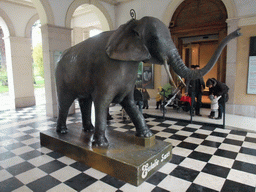 Statue of an elephant at the entrance of the Museum of Natural History