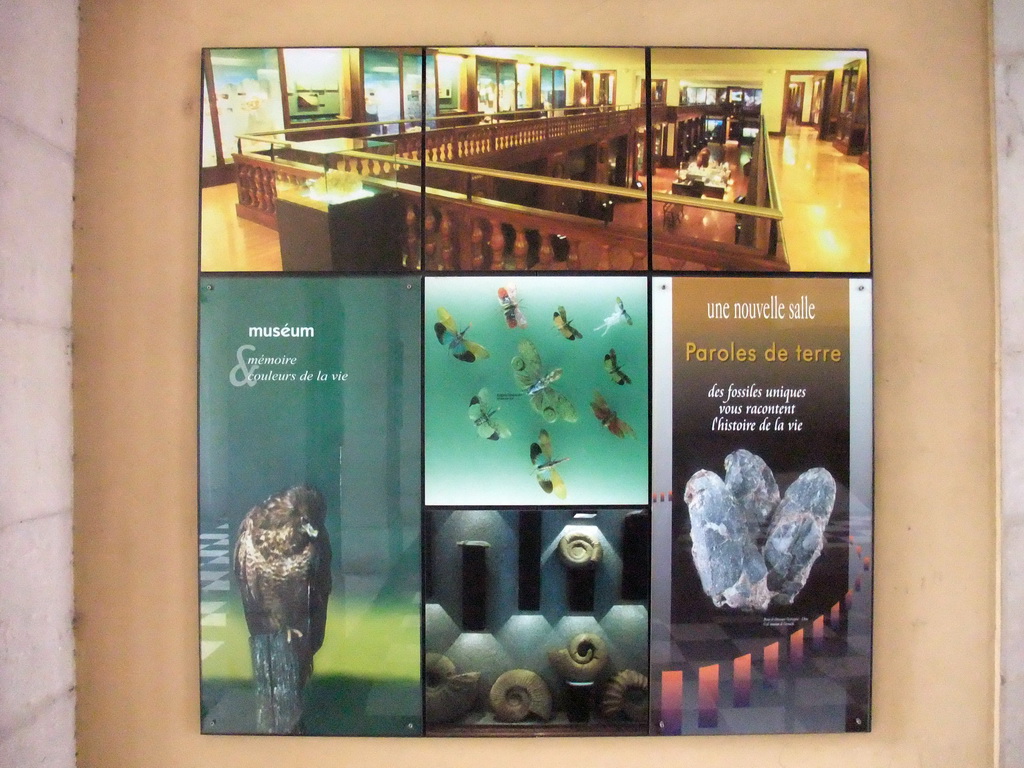 Information on the Museum of Natural History