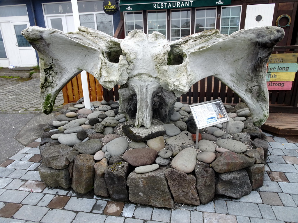 Blue Whale skull in front of the Fish House restaurant at the Hafnargata street, with explanation