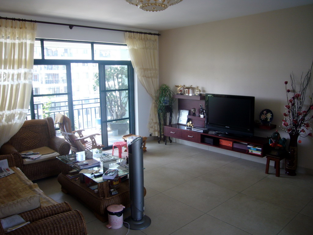 Living room in the apartment of Miaomiao`s parents
