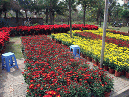 haikou_4_003 - 535 kb - 1024x768 - Flowers for sale, at Guoxing Avenue Flowers for sale, at Guoxing Avenue