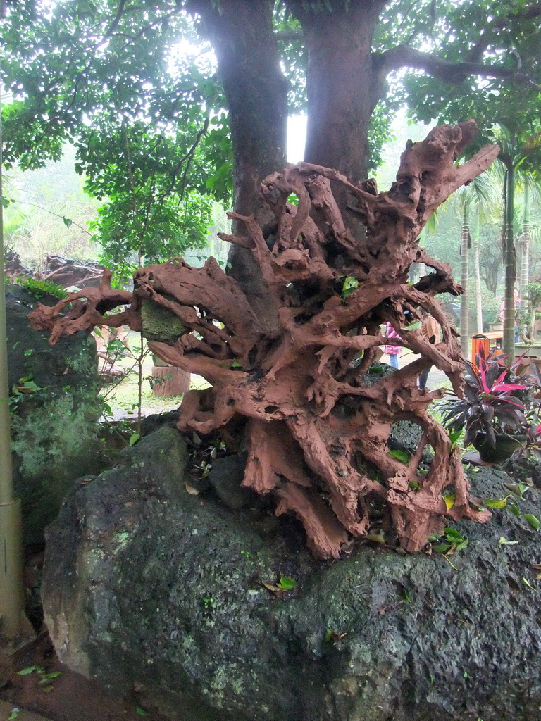 Carved volcanic rock at the Hainan Volcano Park