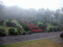 Flowers and plants at the front of Mt. Fengluling volcano crater at the Hainan Volcano Park