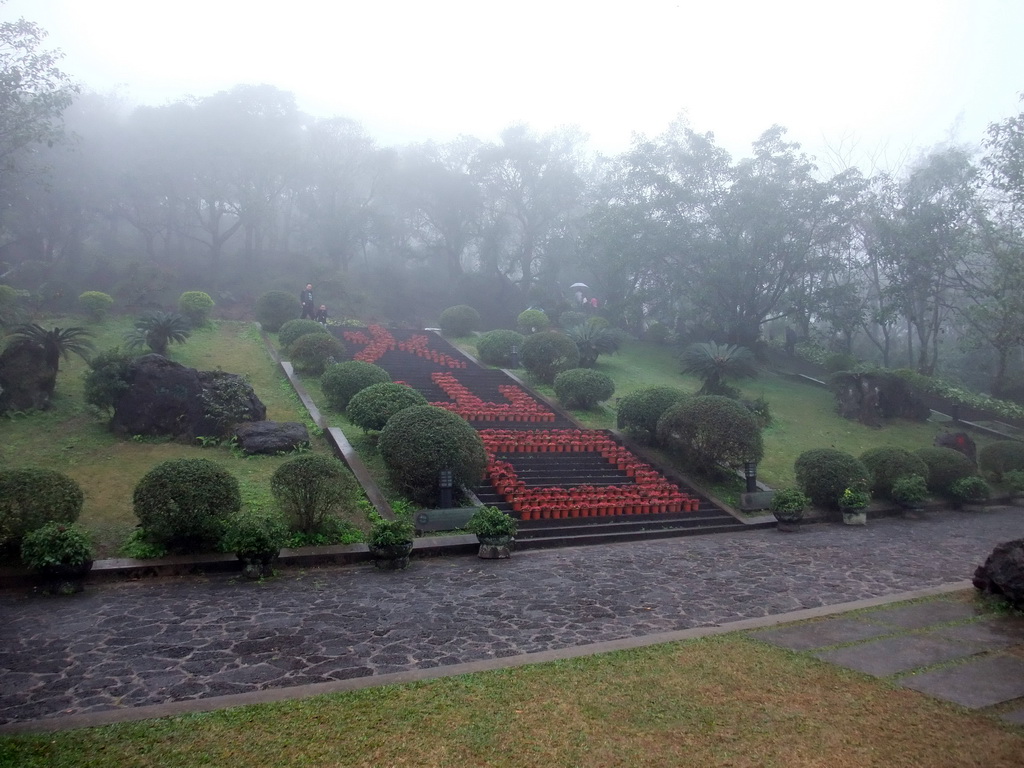 Flowers and plants at the front of Mt. Fengluling volcano crater at the Hainan Volcano Park