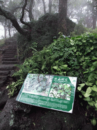 The Peace-keeping Stone at Mt. Fengluling volcano crater at the Hainan Volcano Park, with explanation