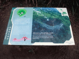 Explanation on the Mt. Fengluling volcano crater at the Hainan Volcano Park