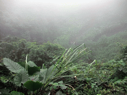 Looking down on the Mt. Fengluling volcano crater at the Hainan Volcano Park