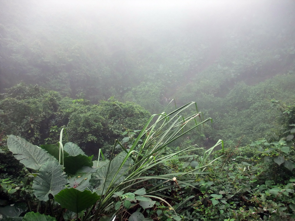 Looking down on the Mt. Fengluling volcano crater at the Hainan Volcano Park