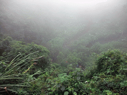 Looking down on the Mt. Fengluling volcano crater at the Hainan Volcano Park