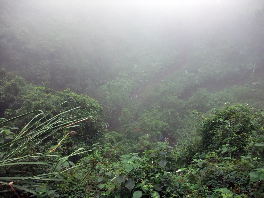 Looking down on the Mt. Fengluling volcano crater at the Hainan Volcano Park