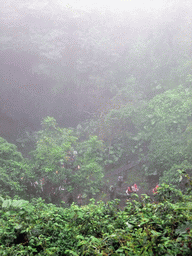 Looking down on the Mt. Fengluling volcano crater at the Hainan Volcano Park