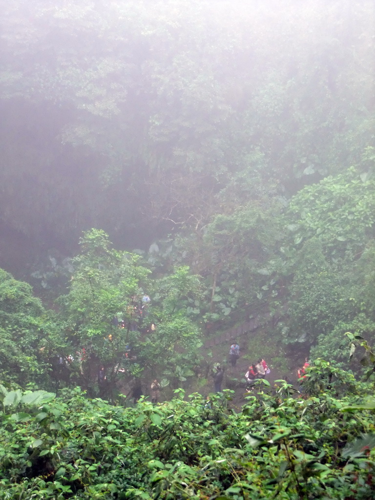 Looking down on the Mt. Fengluling volcano crater at the Hainan Volcano Park