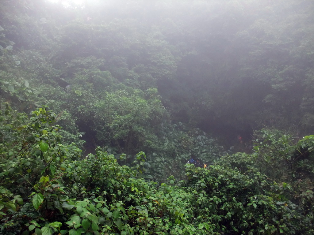 Looking down on the Mt. Fengluling volcano crater at the Hainan Volcano Park