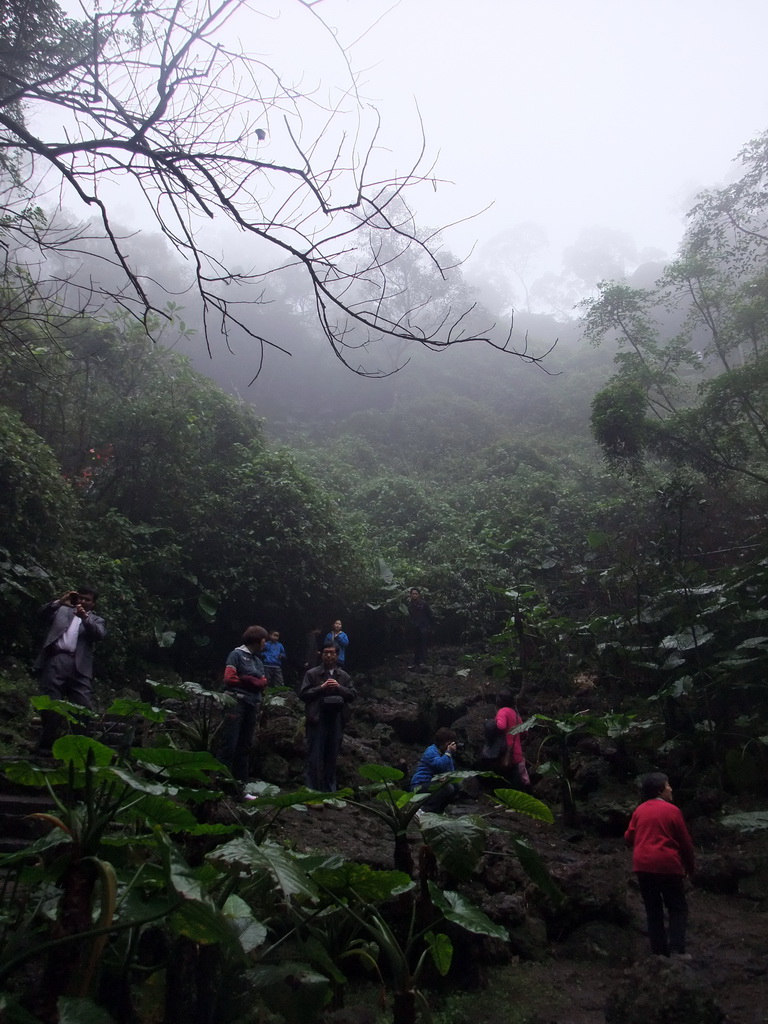 Looking up from the Mt. Fengluling volcano crater at the Hainan Volcano Park