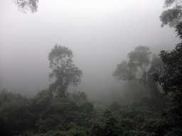 Looking down on the Mt. Fengluling volcano crater at the Hainan Volcano Park