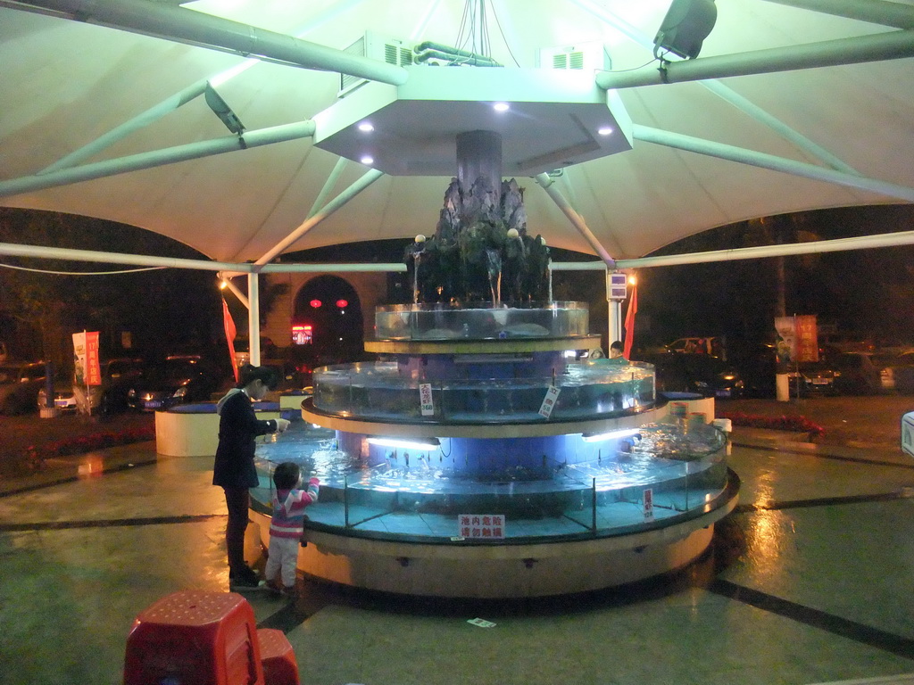 Seafood aquarium at a restaurant at the city center, by night