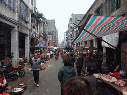 Miaomiao at an old shopping street in the city center