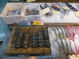 Fish and seafood at a restaurant near Xiaoyao Lake