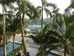 Palm trees and swimming pool at the Mission Hills Golf Resort Haikou, viewed from the back side of the hotel
