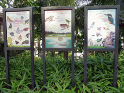 Information on the wildlife at the Mission Hills Golf Resort Haikou
