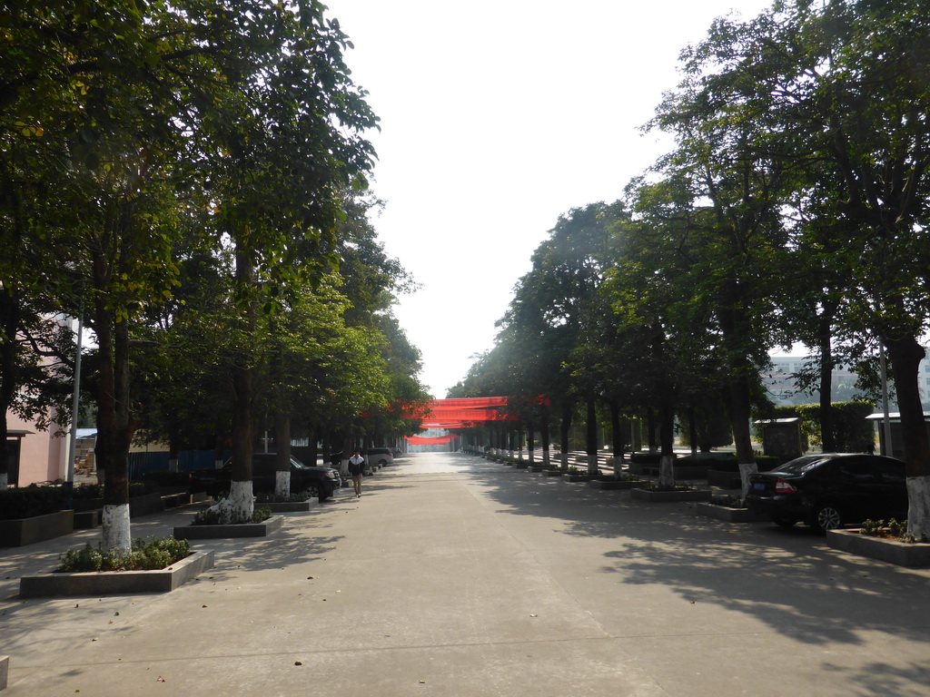 Central road of the Hainan Overseas Chinese Middle School