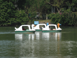 Boats in Donghu Lake at Haikou People`s Park
