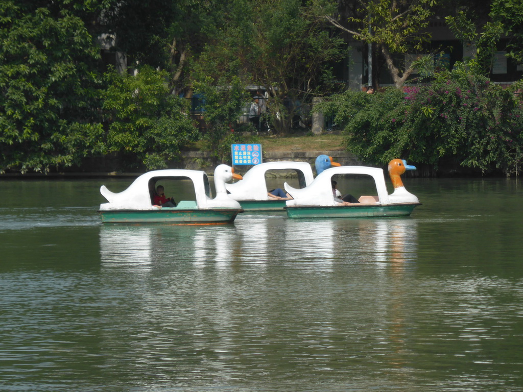Boats in Donghu Lake at Haikou People`s Park
