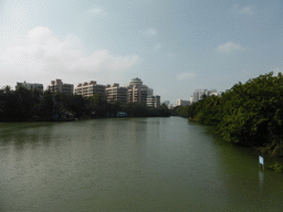 Donghu Lake at Haikou People`s Park