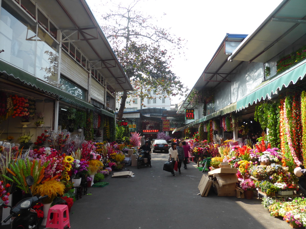 Flowers at the Longhua Flower Square at Bo`Ai South Road